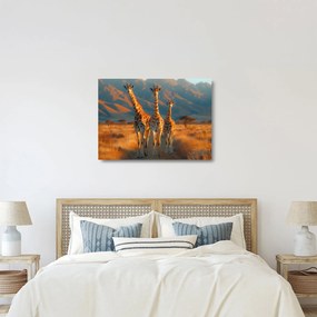 Sklenený obraz - Žirafy na pastvine (70x50 cm)