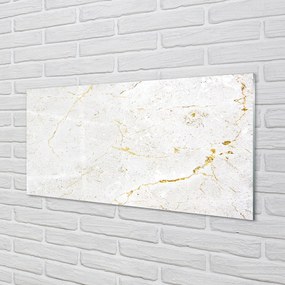 Obraz plexi Marble kamenný múr 100x50 cm