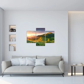 Obraz - Letná krajina (90x60 cm)