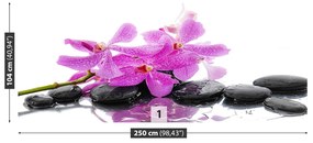 Fototapeta Vliesová Ružová orchidea 152x104 cm