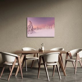 Obraz - Stromy pod snehovou prikrývkou (70x50 cm)
