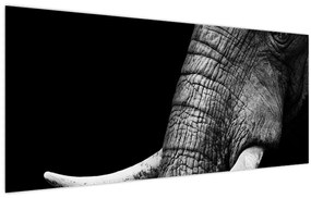 Obraz - Slonie kly (120x50 cm)