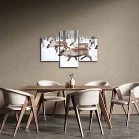 Obraz - Soby (90x60 cm)
