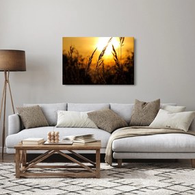 Obraz zapadajúceho slnka (90x60 cm)