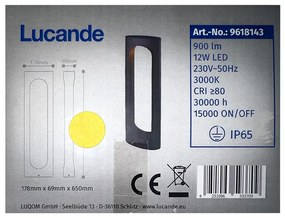 Lucande Lucande - LED Vonkajšia lampa FENTI LED/12W/230V IP65 LW0957