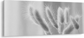 Obraz - Bunny tail grass (120x50 cm)