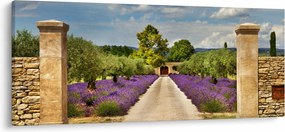 Obraz - Levanduľové cesty (120x50 cm)