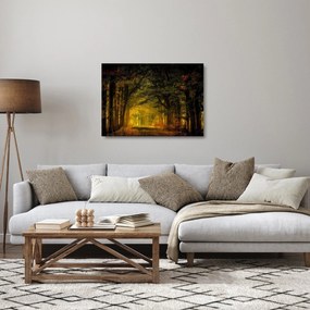 Sklenený obraz lesu (70x50 cm)