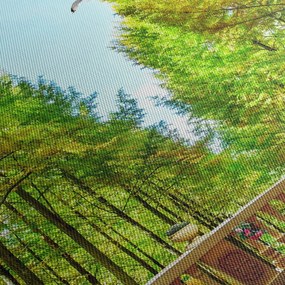 Obraz - Výhľad na les (90x60 cm)