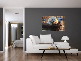 Obraz - Medveď ľadový (90x60 cm)