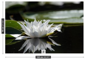 Fototapeta Vliesová Biely lotos 152x104 cm