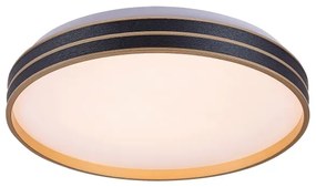 Rabalux 71141 - LED stmievateľné stropné svietidlo GANDOR LED/24W/230V 3000-6500K