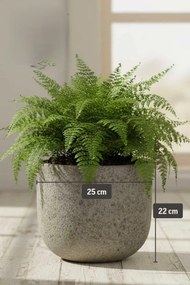 Izbový kvetináč CALDO, vláknocement, 25x22 cm, sivý