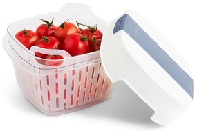 Rotho Špeciálny box na ovocie a zeleninu, s ventiláciou a filtrom, do chladničky, Fridge Fresh, 1,6 l, modrý