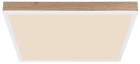 Globo 416080WWD2-CCT - LED Stmiev. stropné DORO LED/24W/230V 2700-6500K + DO