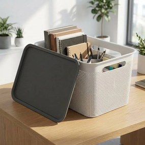 Rotho Úložný box s vekom a s držadlami BRISEN 16l, 36x26,2x21cm, biely