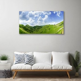 Obraz Canvas Hora lúka príroda 140x70 cm