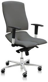 Zdravotná stolička Steel Standard+, sivá