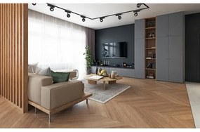 Rabalux 70119-LED Bod. svieti. do 1-fáz. lišt. sys. LiTrack LED/5W/24V 4000K