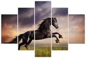 Kôň - obraz