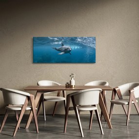 Obraz - Delfín pod hladinou (120x50 cm)