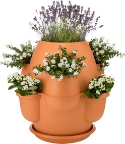 BAMA OASI, 80 x 80 cm, terracotta