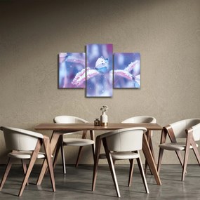Obraz - Motýle v zime (90x60 cm)