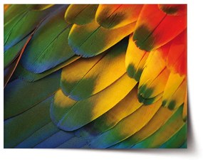 Sablio Plagát Farebné perie - 90x60 cm