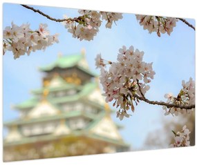 Obraz - Sakura (90x60 cm)