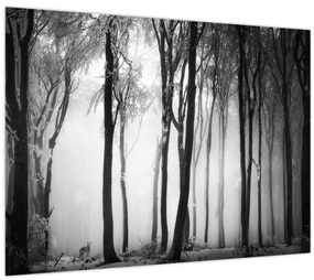 Obraz - Vlk v temnom lese (70x50 cm)