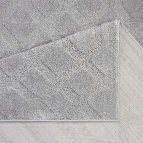 Dekorstudio Moderný koberec do obývačky FLAIR 138 - sivý Rozmer koberca: 160x230cm