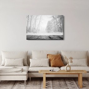 Obraz - Drevené mólo v zime (90x60 cm)