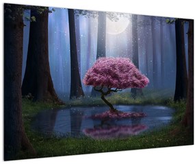 Obraz - Magická noc (90x60 cm)