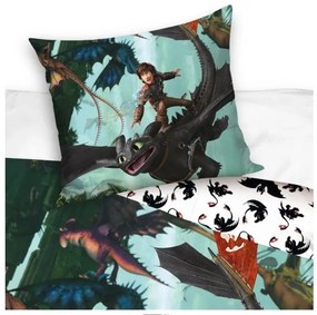 Detské obliečky Ako vycvičiť Draka Bezzubka a Štikút 140x200/70x90 cm-
