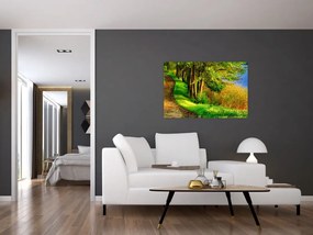 Obraz chodníky pozdĺž vody (90x60 cm)