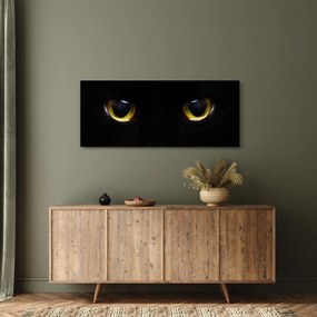Obraz - Mačacie oči (120x50 cm)