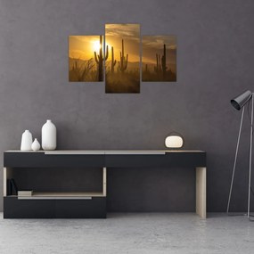 Obraz - Kaktusy Saguaro (90x60 cm)