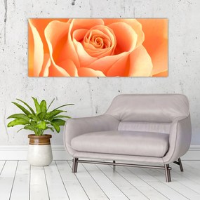 Obraz - Ruža, marhuľová farba (120x50 cm)