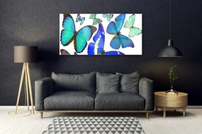 Obraz na akrylátovom skle Motýle príroda 120x60 cm