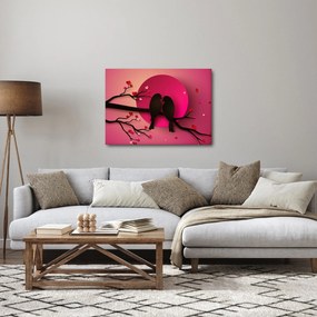 Obraz - Zamilované vtáčiky (70x50 cm)