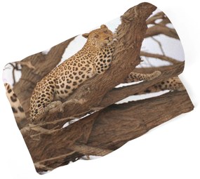 Sablio Deka Leopard 2 - 150x120 cm