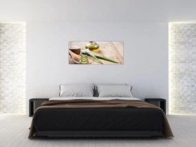 Obraz - Aloe vera (120x50 cm)
