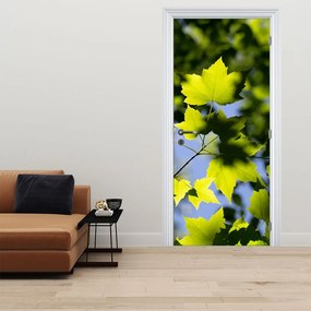 Fototapeta na dvere - Javorové listy (95x205cm)