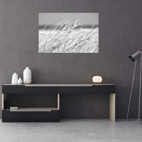 Obraz - Plážová tráva (90x60 cm)