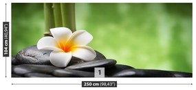 Fototapeta Vliesová Kúpele kvetina 152x104 cm