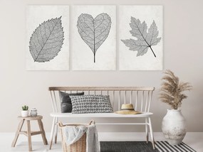 Artgeist Obraz - Minimalist Leaves (3 Parts) Veľkosť: 120x60, Verzia: Premium Print