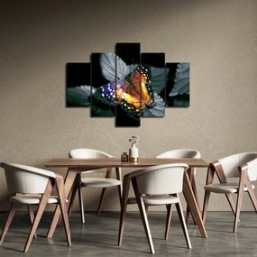 Obraz motýľa (150x105 cm)