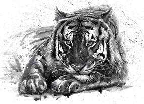 Tapeta čiernobiely predátor zvierat