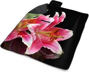 Sablio Plážová deka Ľalia: 200x140 cm