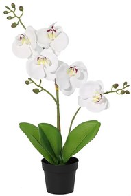 Umelá biela orchidea v kvetináči 40 cm